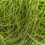 Bundle - L'Herbier