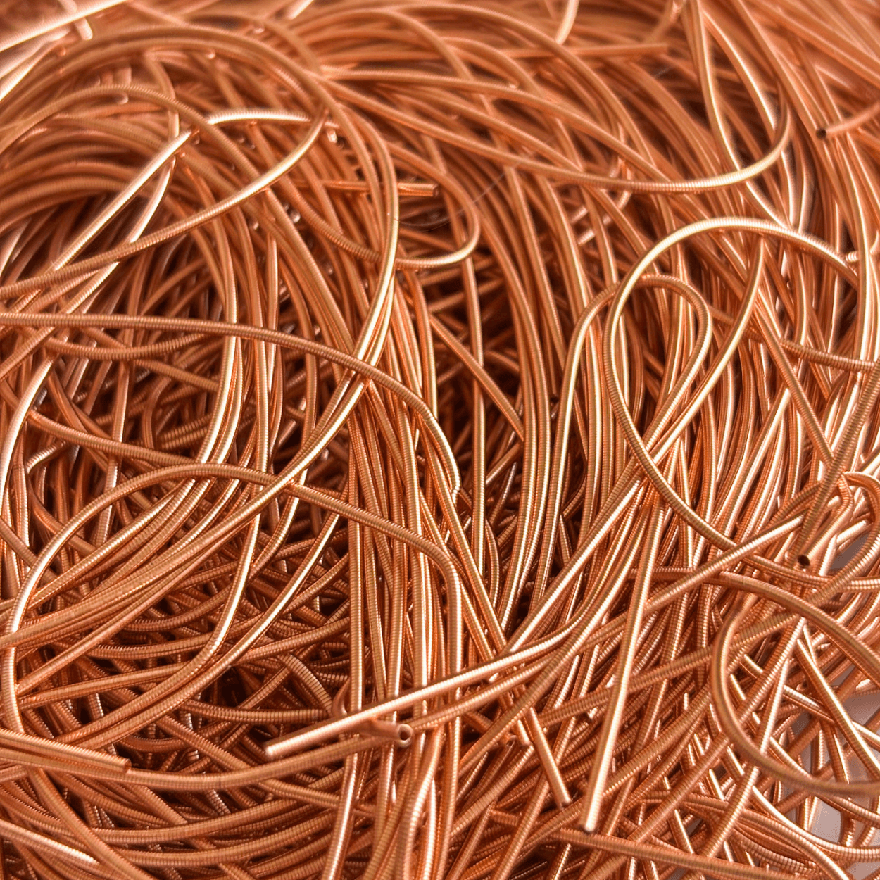 Bundle - Rivage
